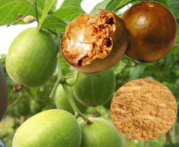 Where to buy Monk Fruit Extract at better price with good quality?